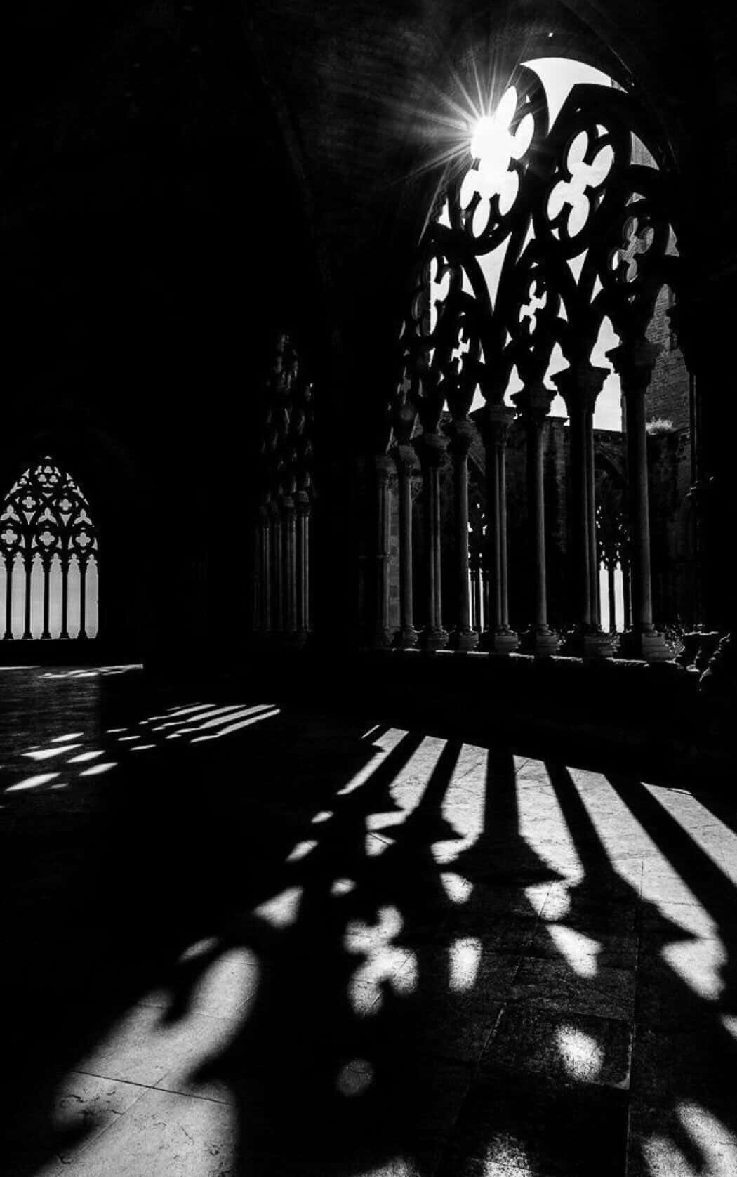 Light and Darkness